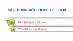 Sự khác nhau giữa đèn tuýp LED T5 và T8