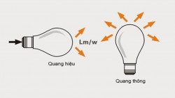 Lumen và cường độ ánh sáng Lumen là gì?