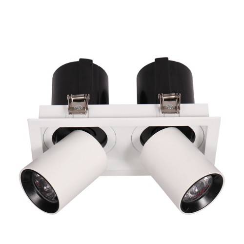 Đèn LED âm trần chỉnh hướng Dimmer đôi 2x12W mẫu DCG