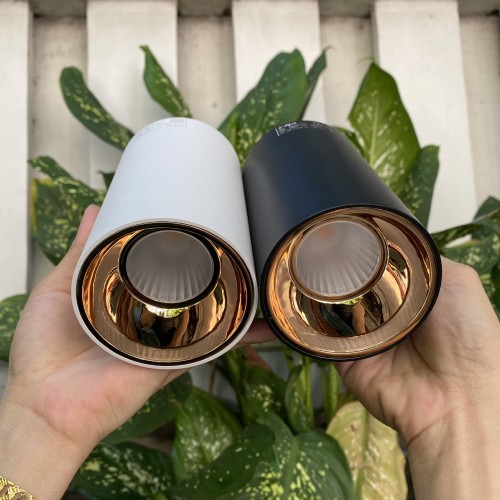 Đèn LED Lon 12W 5000K mẫu LOB thumb