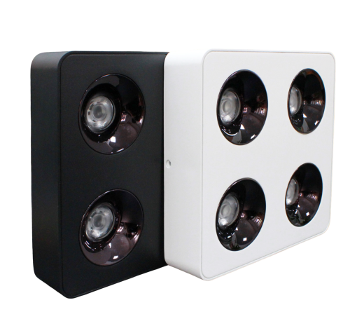 Đèn Lon nổi 4x12W mẫu LOD Dimmer
