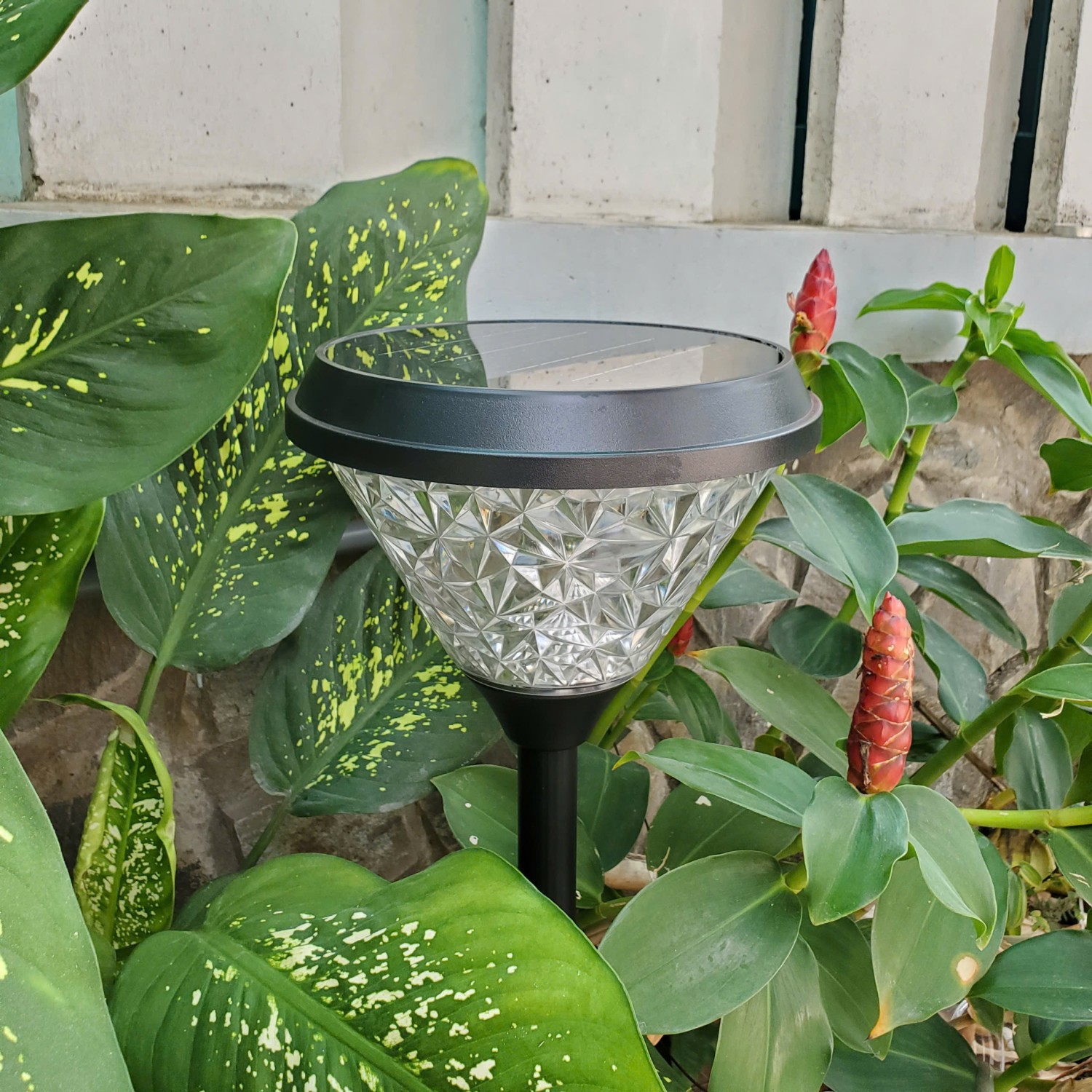 z6509976135158 b4eb8eb3f6febca1faf42aa981fbbb22