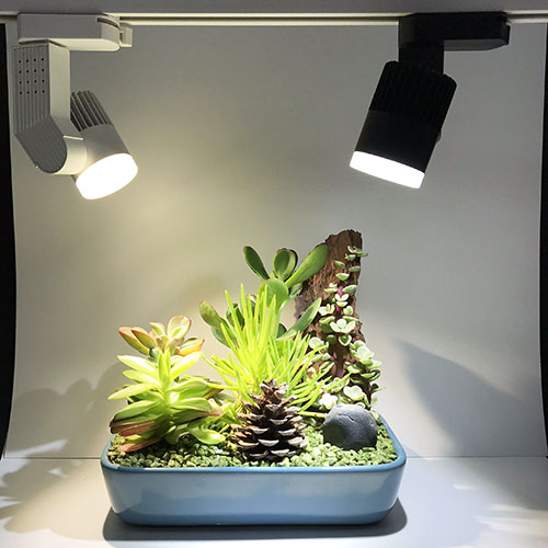 Den led ray roi 5w 7w mau rrc enavietnam (2)