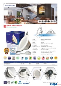 catalog-2025-19.jpg