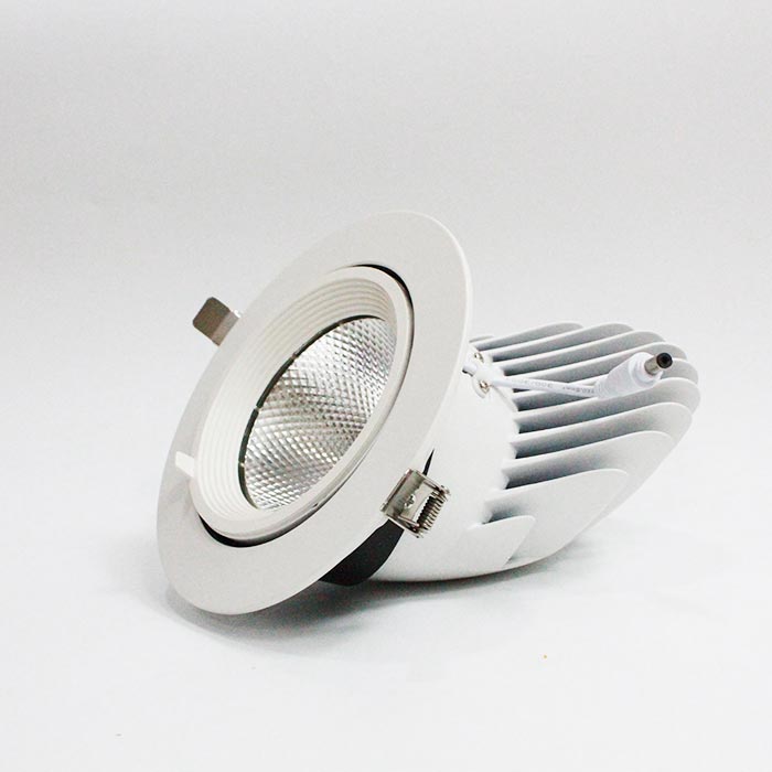Đèn LED âm trần chỉnh hướng 24W mẫu DCD