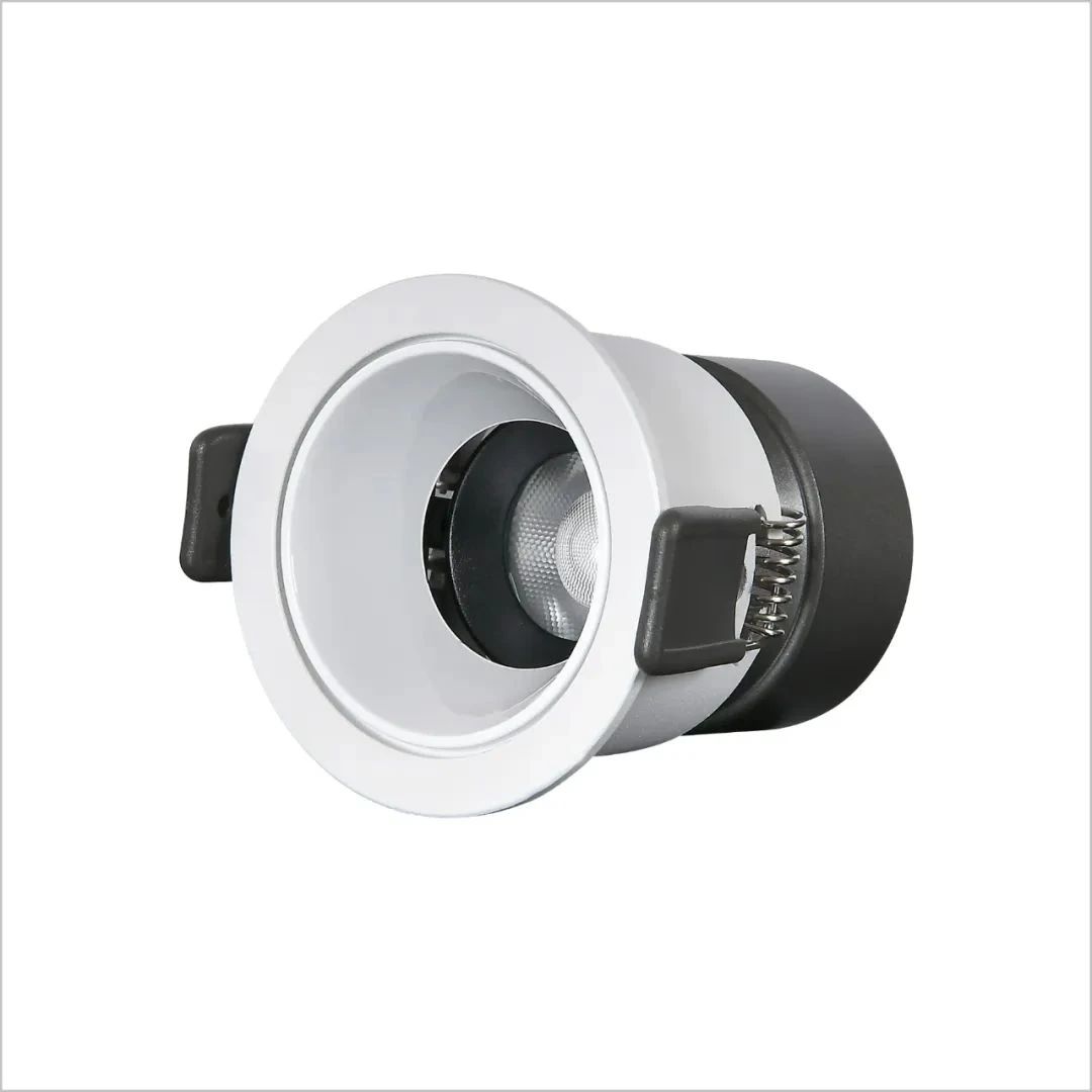 Đèn LED chỉnh hướng Dimmer 10W mẫu DCH