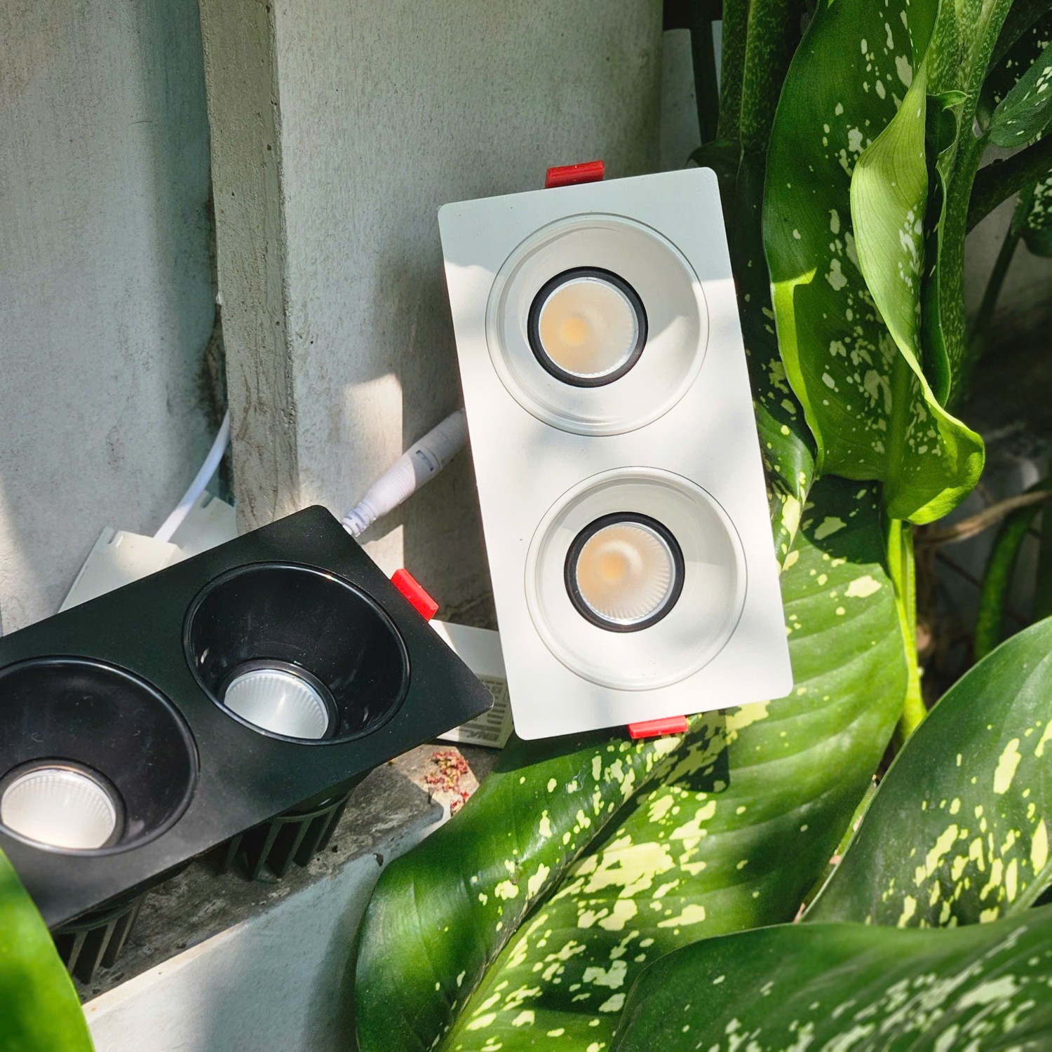 Đèn chỉnh hướng đôi 2x5W mẫu DCP