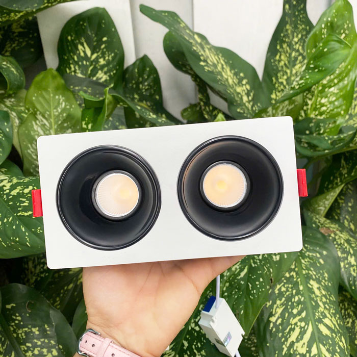 Đèn chỉnh hướng đôi 2x5W mẫu DCP