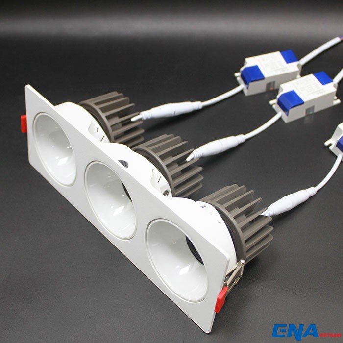 den chieu diem 12w (9)