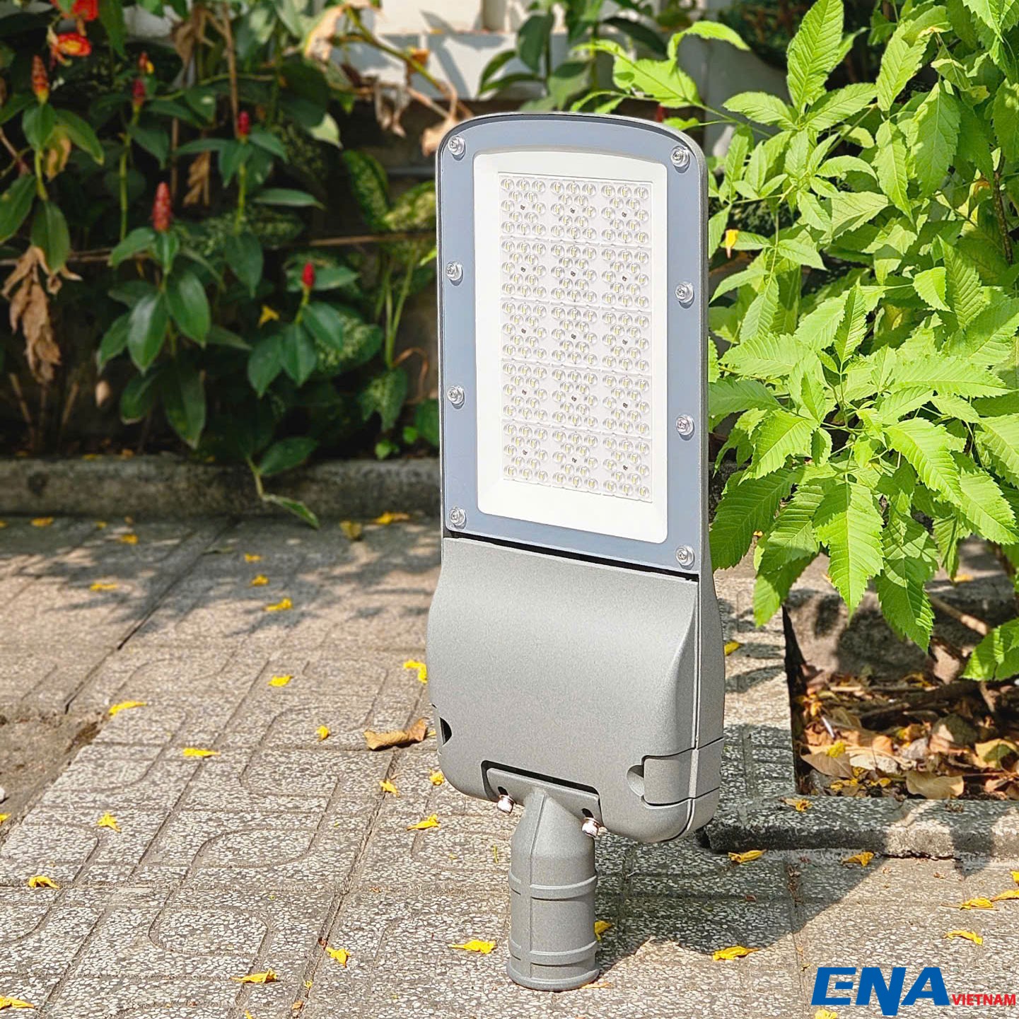 den duong 150w DDF 2