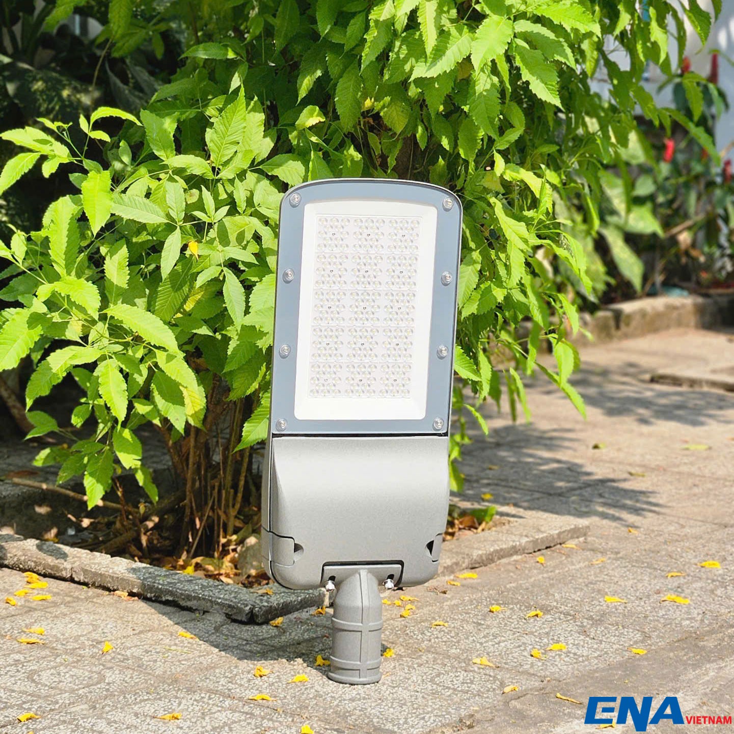 den duong 150w DDF 3