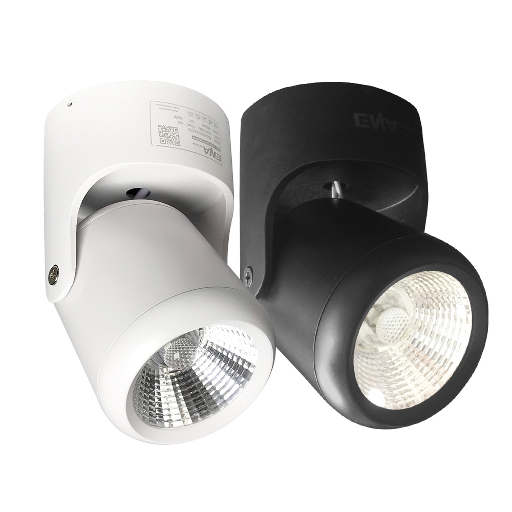 Đèn LED rọi ngồi 12W 5000K mẫu DRA