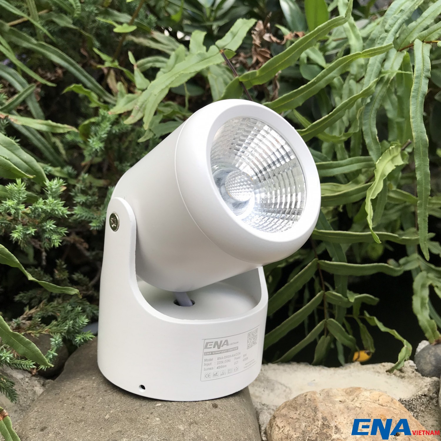 den roi 5w trang enavietnam (1)