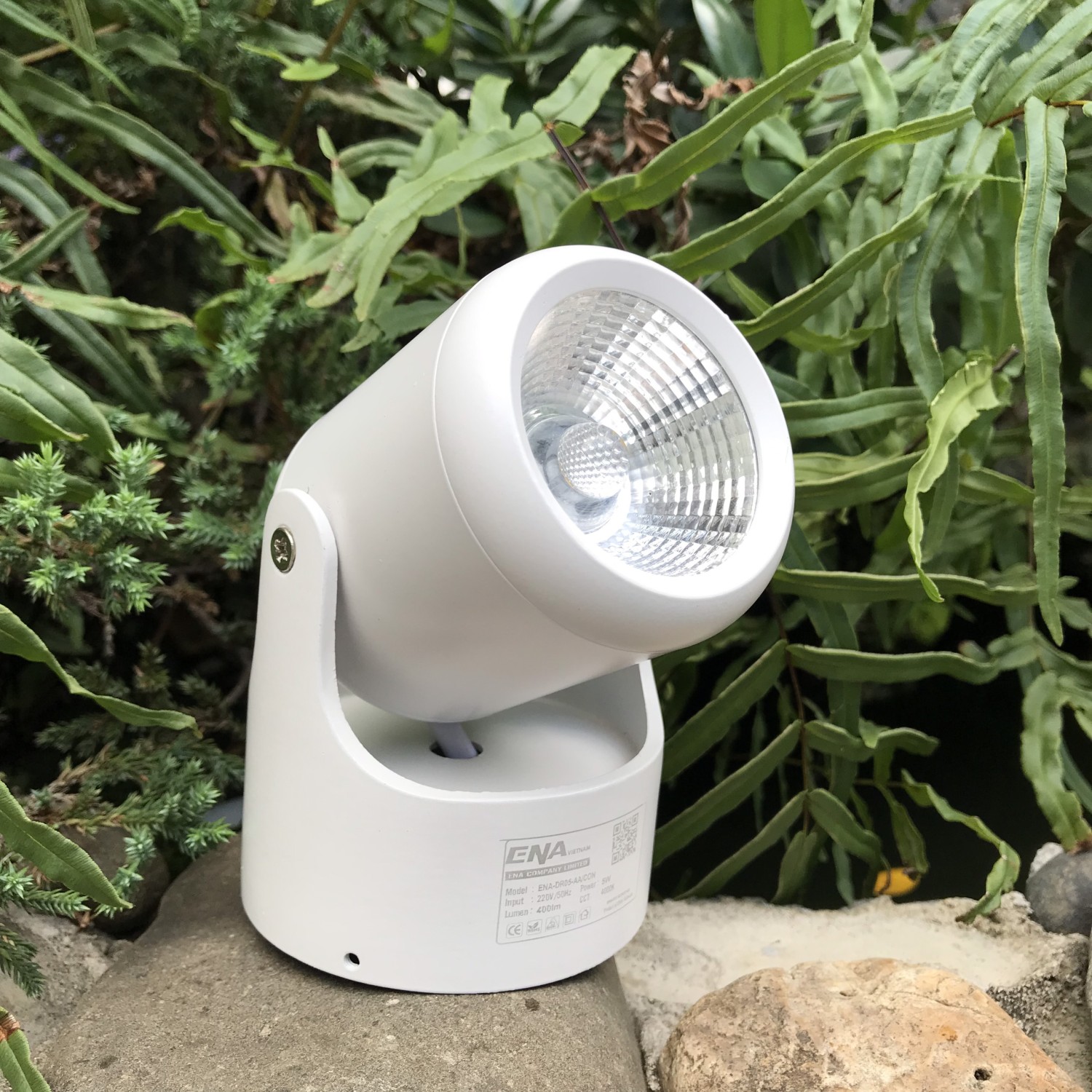 Đèn LED rọi gắn nổi Dimmer 10W mẫu DRA