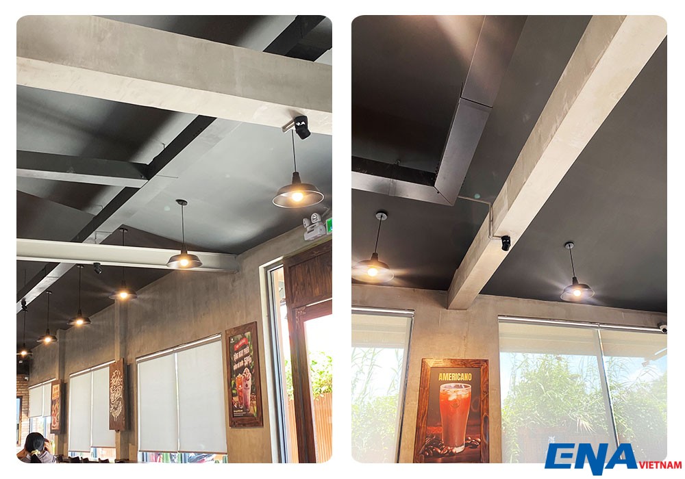 den roi tai americano